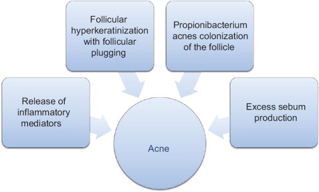 acne cycle