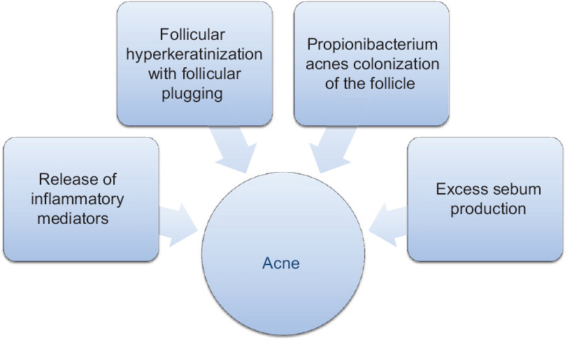 The Science of Acne Why It’s Never Just One Thing – 1611 LABS